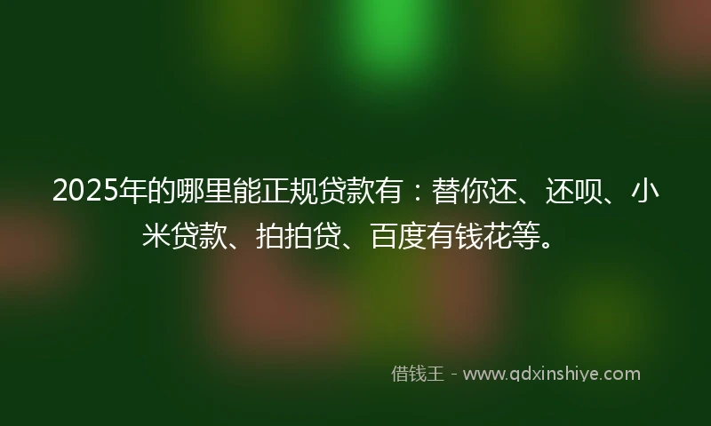 2025年的哪里能正规贷款有：替你还、还呗、小米贷款、拍拍贷、百度有钱花等。
