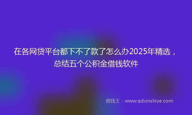 在各网贷平台都下不了款了怎么办2025年精选，总结五个公积金借钱软件