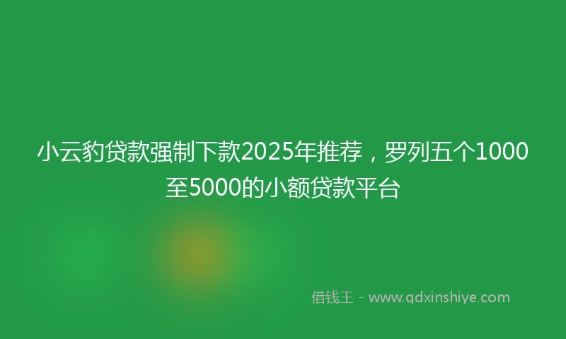 小云豹贷款强制下款2025年推荐，罗列五个1000至5000的小额贷款平台