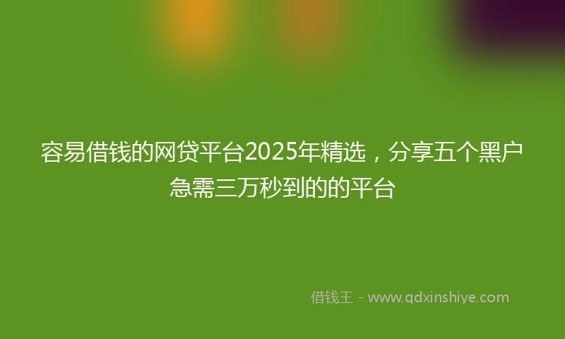 容易借钱的网贷平台2025年精选，分享五个黑户急需三万秒到的的平台