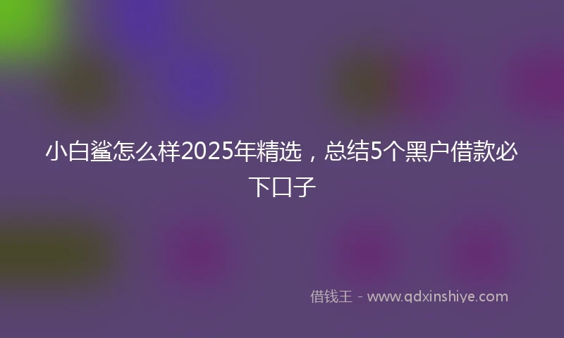 小白鲨怎么样2025年精选，总结5个黑户借款必下口子