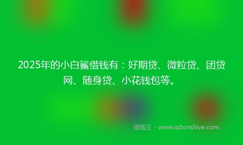 2025年的小白鲨借钱有：好期贷、微粒贷、团贷网、随身贷、小花钱包等。