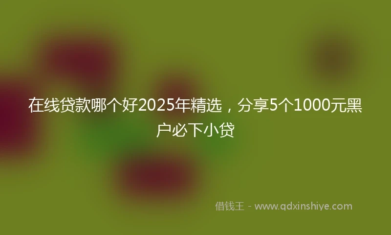 在线贷款哪个好2025年精选，分享5个1000元黑户必下小贷