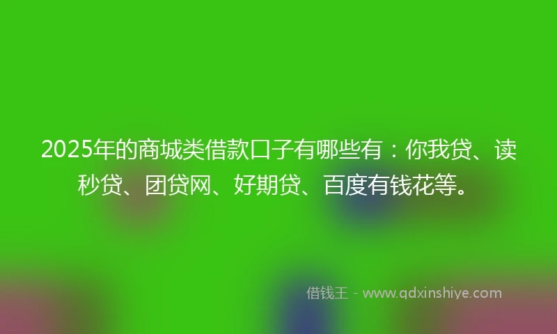 2025年的商城类借款口子有哪些有：你我贷、读秒贷、团贷网、好期贷、百度有钱花等。