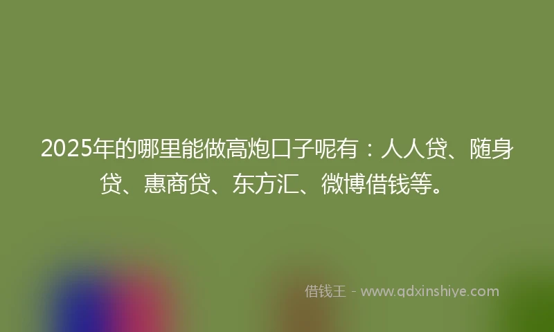 2025年的哪里能做高炮口子呢有：人人贷、随身贷、惠商贷、东方汇、微博借钱等。