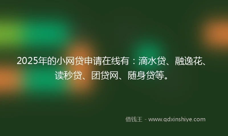 2025年的小网贷申请在线有：滴水贷、融逸花、读秒贷、团贷网、随身贷等。