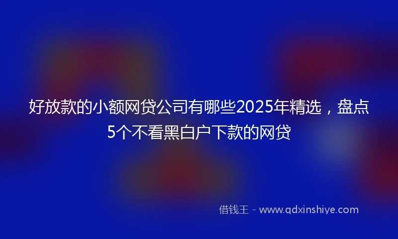 好放款的小额网贷公司有哪些2025年精选，盘点5个不看黑白户下款的网贷