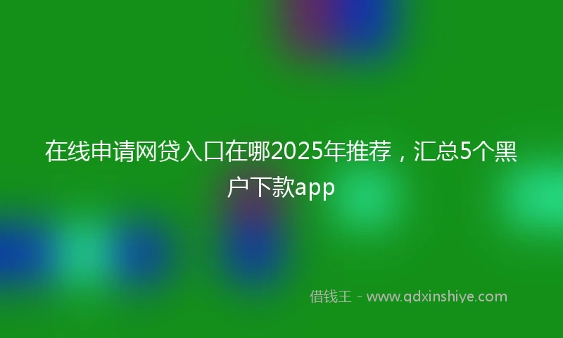 在线申请网贷入口在哪2025年推荐，汇总5个黑户下款app