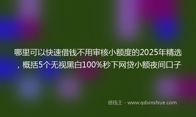 哪里可以快速借钱不用审核小额度的2025年精选，概括5个无视黑白100%秒下网贷小额夜间口子