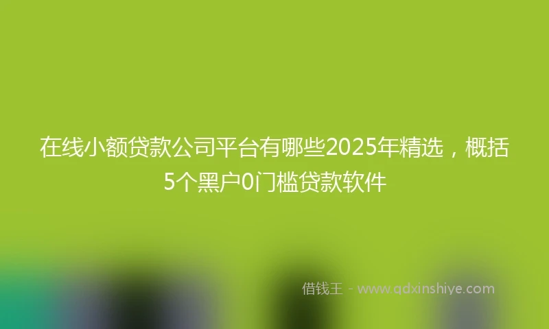 在线小额贷款公司平台有哪些2025年精选，概括5个黑户0门槛贷款软件