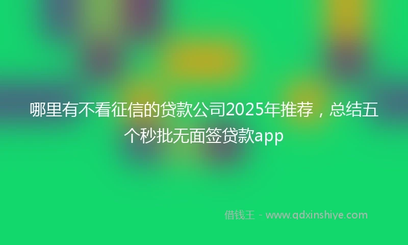 哪里有不看征信的贷款公司2025年推荐，总结五个秒批无面签贷款app