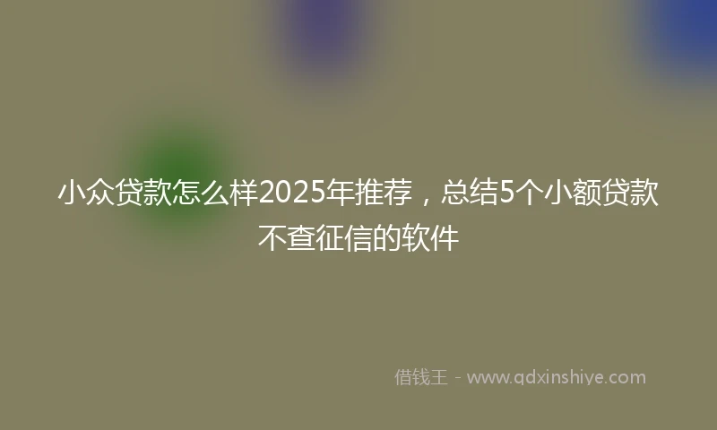 小众贷款怎么样2025年推荐，总结5个小额贷款不查征信的软件