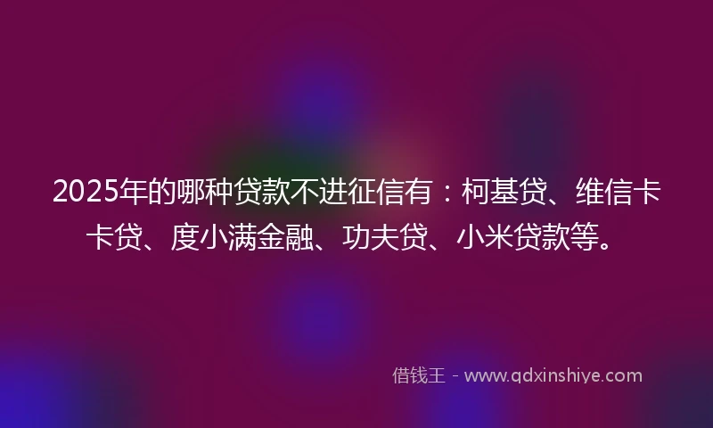 2025年的哪种贷款不进征信有：柯基贷、维信卡卡贷、度小满金融、功夫贷、小米贷款等。