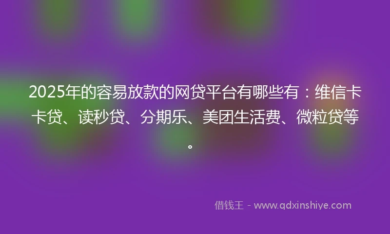 2025年的容易放款的网贷平台有哪些有：维信卡卡贷、读秒贷、分期乐、美团生活费、微粒贷等。