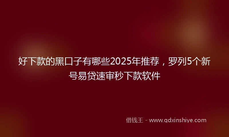 好下款的黑口子有哪些2025年推荐，罗列5个新号易贷速审秒下款软件