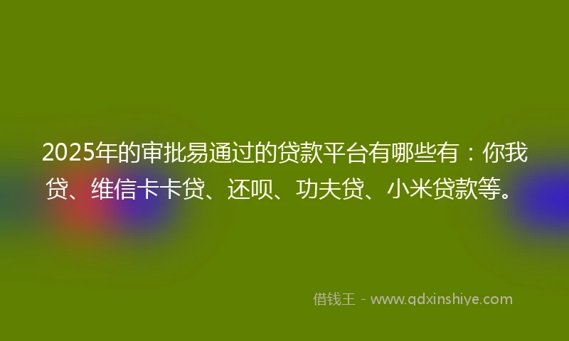 2025年的审批易通过的贷款平台有哪些有：你我贷、维信卡卡贷、还呗、功夫贷、小米贷款等。
