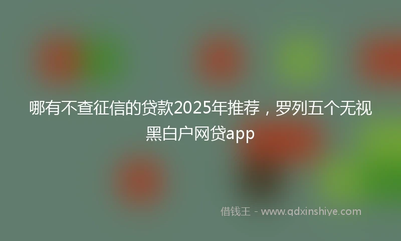 哪有不查征信的贷款2025年推荐，罗列五个无视黑白户网贷app