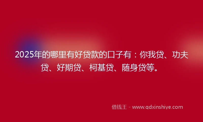 2025年的哪里有好贷款的口子有：你我贷、功夫贷、好期贷、柯基贷、随身贷等。