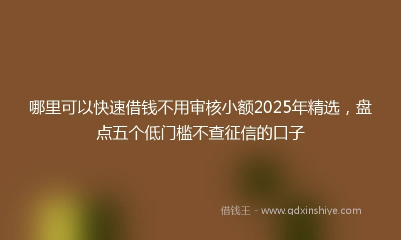 哪里可以快速借钱不用审核小额2025年精选，盘点五个低门槛不查征信的口子