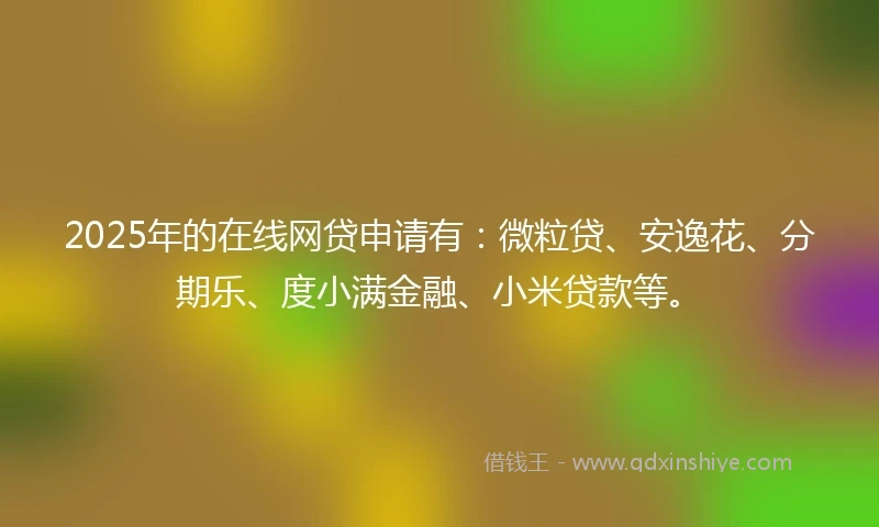 2025年的在线网贷申请有：微粒贷、安逸花、分期乐、度小满金融、小米贷款等。