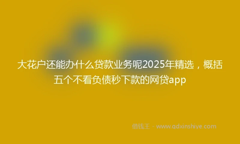大花户还能办什么贷款业务呢2025年精选，概括五个不看负债秒下款的网贷app
