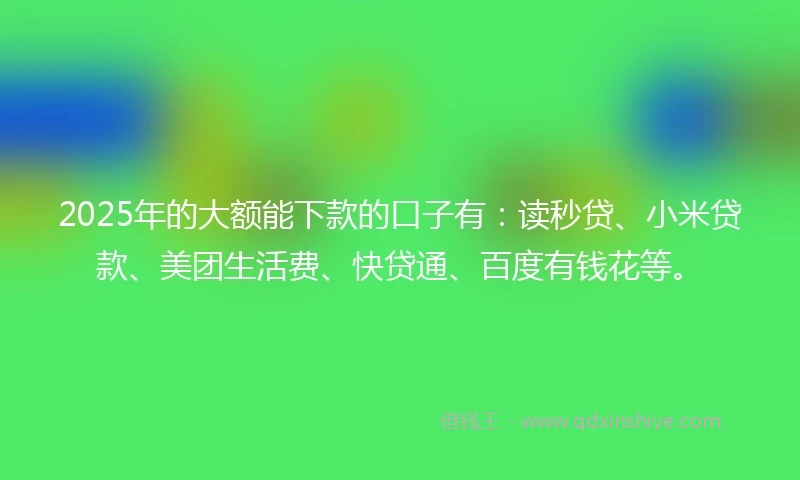 2025年的大额能下款的口子有：读秒贷、小米贷款、美团生活费、快贷通、百度有钱花等。