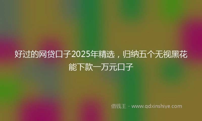 好过的网贷口子2025年精选，归纳五个无视黑花能下款一万元口子