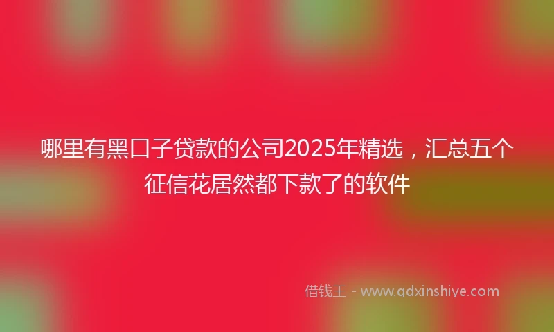 哪里有黑口子贷款的公司2025年精选，汇总五个征信花居然都下款了的软件