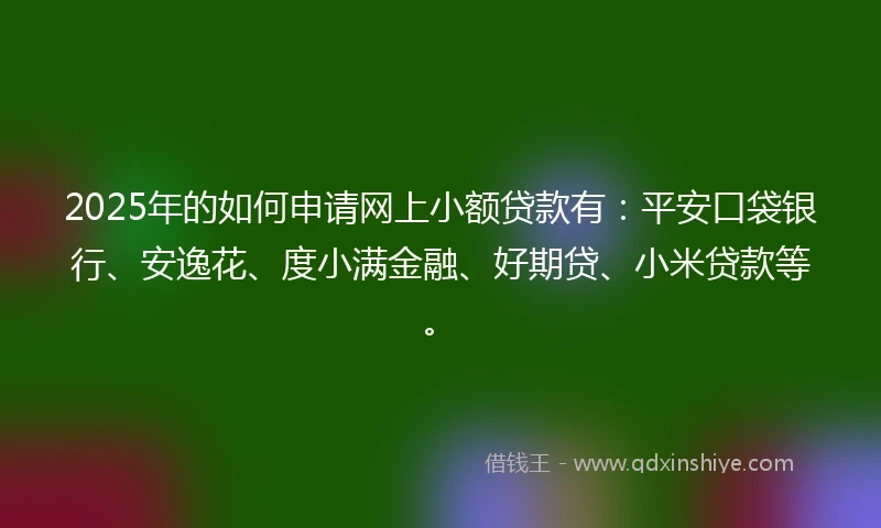 2025年的如何申请网上小额贷款有：平安口袋银行、安逸花、度小满金融、好期贷、小米贷款等。