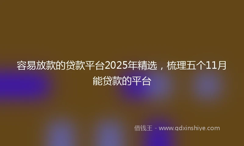 容易放款的贷款平台2025年精选，梳理五个11月能贷款的平台
