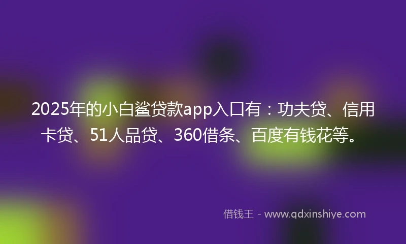 2025年的小白鲨贷款app入口有：功夫贷、信用卡贷、51人品贷、360借条、百度有钱花等。