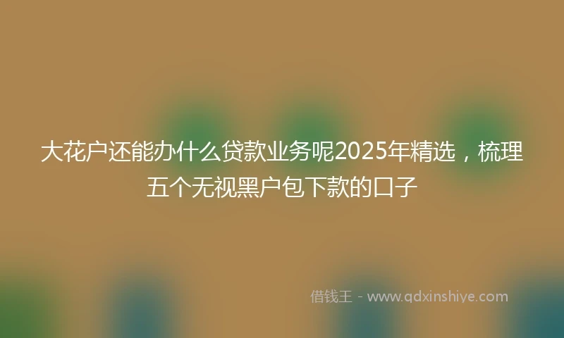 大花户还能办什么贷款业务呢2025年精选，梳理五个无视黑户包下款的口子