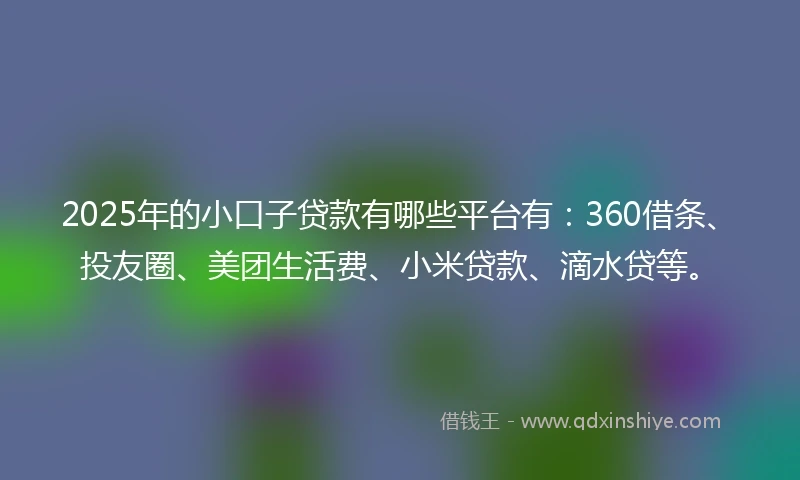 2025年的小口子贷款有哪些平台有：360借条、投友圈、美团生活费、小米贷款、滴水贷等。