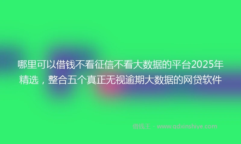哪里可以借钱不看征信不看大数据的平台2025年精选，整合五个真正无视逾期大数据的网贷软件