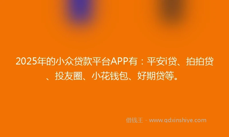 2025年的小众贷款平台APP有：平安i贷、拍拍贷、投友圈、小花钱包、好期贷等。