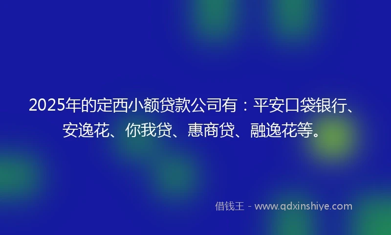 2025年的定西小额贷款公司有：平安口袋银行、安逸花、你我贷、惠商贷、融逸花等。