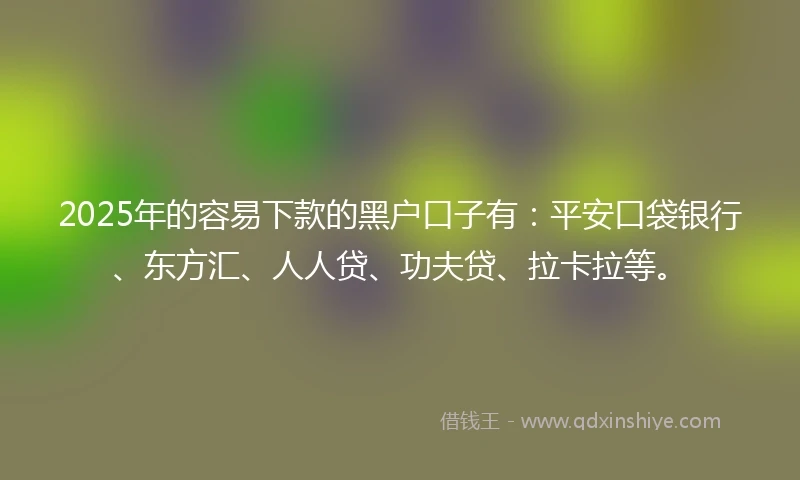 2025年的容易下款的黑户口子有：平安口袋银行、东方汇、人人贷、功夫贷、拉卡拉等。