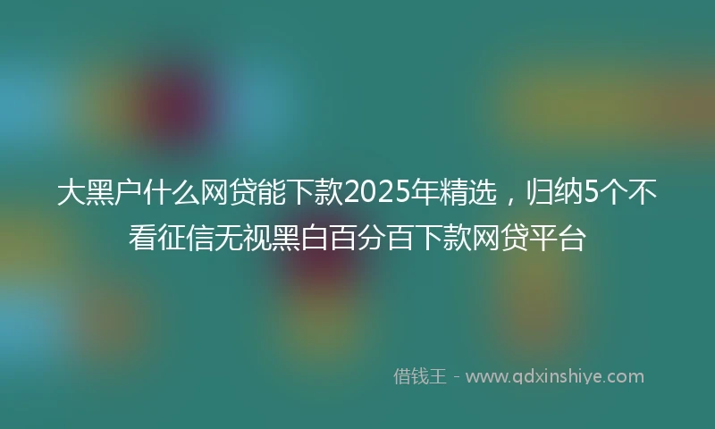 大黑户什么网贷能下款2025年精选，归纳5个不看征信无视黑白百分百下款网贷平台