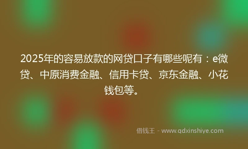 2025年的容易放款的网贷口子有哪些呢有：e微贷、中原消费金融、信用卡贷、京东金融、小花钱包等。