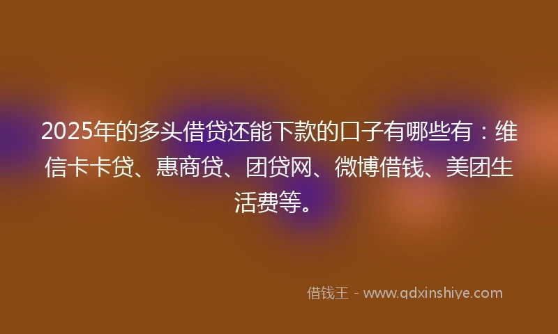 2025年的多头借贷还能下款的口子有哪些有：维信卡卡贷、惠商贷、团贷网、微博借钱、美团生活费等。