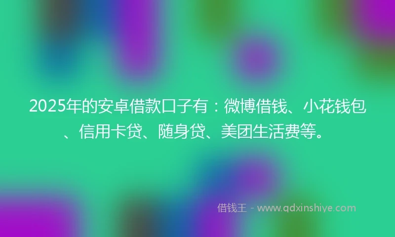 2025年的安卓借款口子有：微博借钱、小花钱包、信用卡贷、随身贷、美团生活费等。