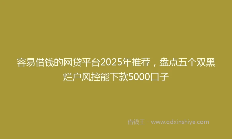 容易借钱的网贷平台2025年推荐，盘点五个双黑烂户风控能下款5000口子
