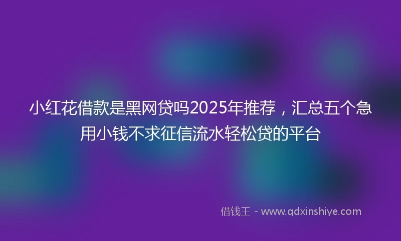 小红花借款是黑网贷吗2025年推荐，汇总五个急用小钱不求征信流水轻松贷的平台