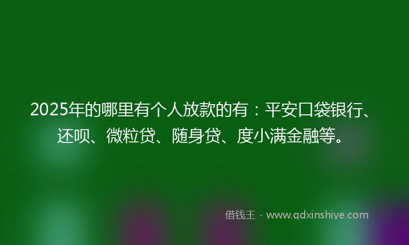 2025年的哪里有个人放款的有：平安口袋银行、还呗、微粒贷、随身贷、度小满金融等。