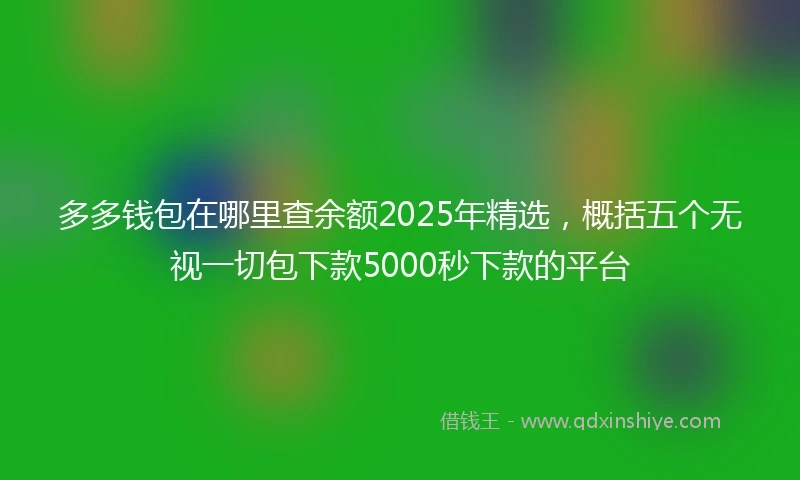 多多钱包在哪里查余额2025年精选，概括五个无视一切包下款5000秒下款的平台