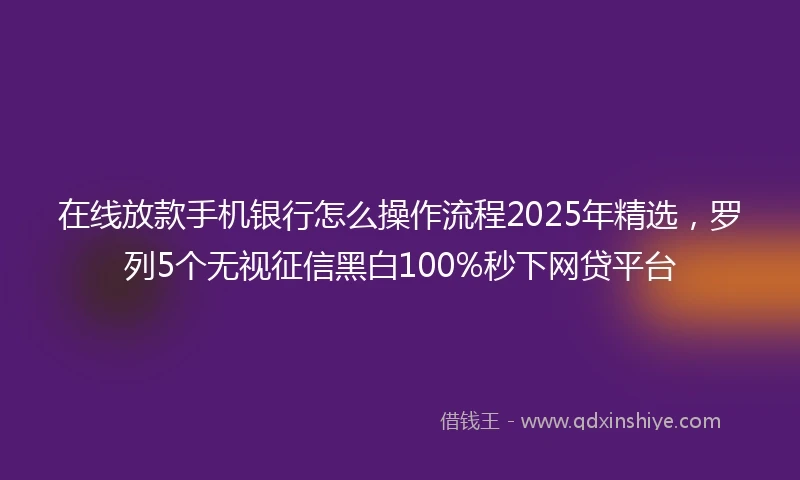 在线放款手机银行怎么操作流程2025年精选，罗列5个无视征信黑白100%秒下网贷平台