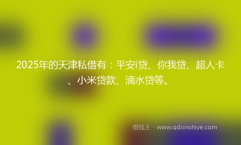 2025年的天津私借有：平安i贷、你我贷、超人卡、小米贷款、滴水贷等。
