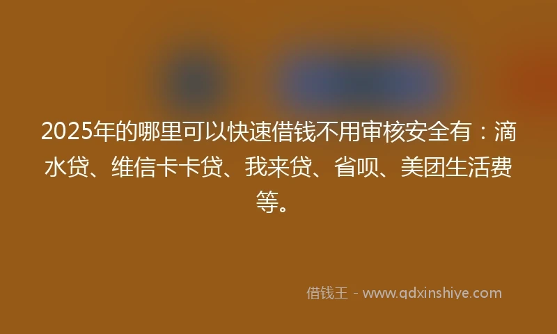 2025年的哪里可以快速借钱不用审核安全有：滴水贷、维信卡卡贷、我来贷、省呗、美团生活费等。