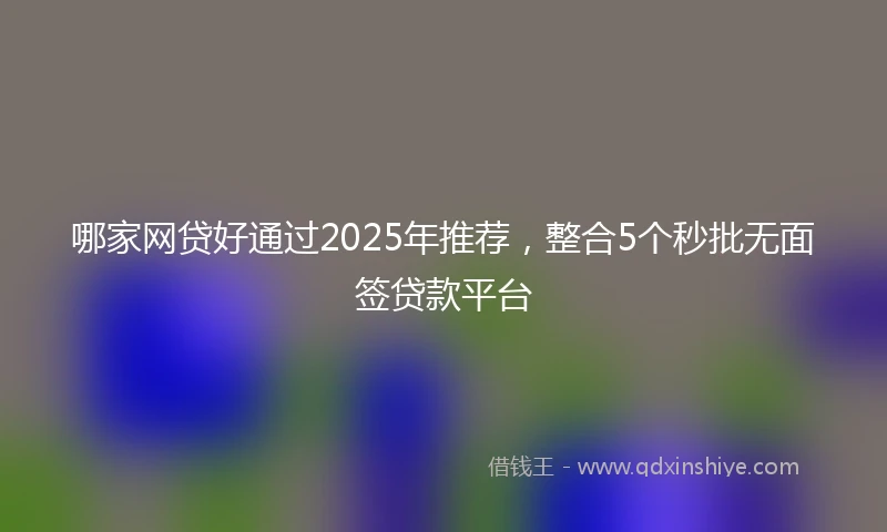 哪家网贷好通过2025年推荐，整合5个秒批无面签贷款平台