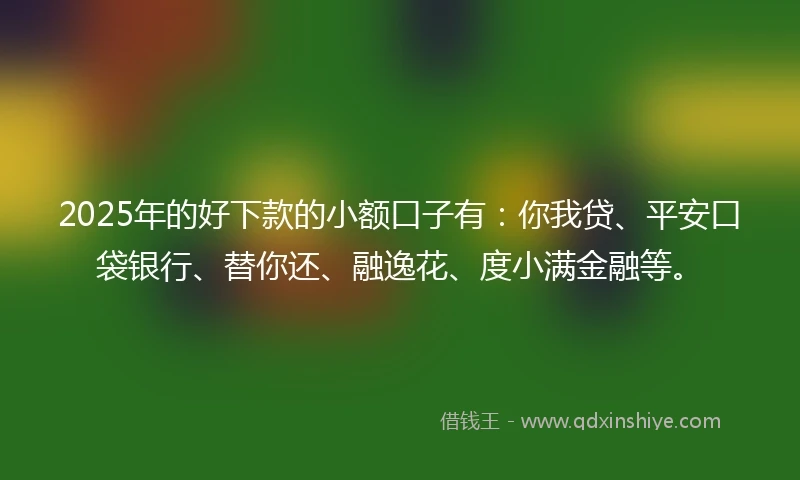 2025年的好下款的小额口子有：你我贷、平安口袋银行、替你还、融逸花、度小满金融等。